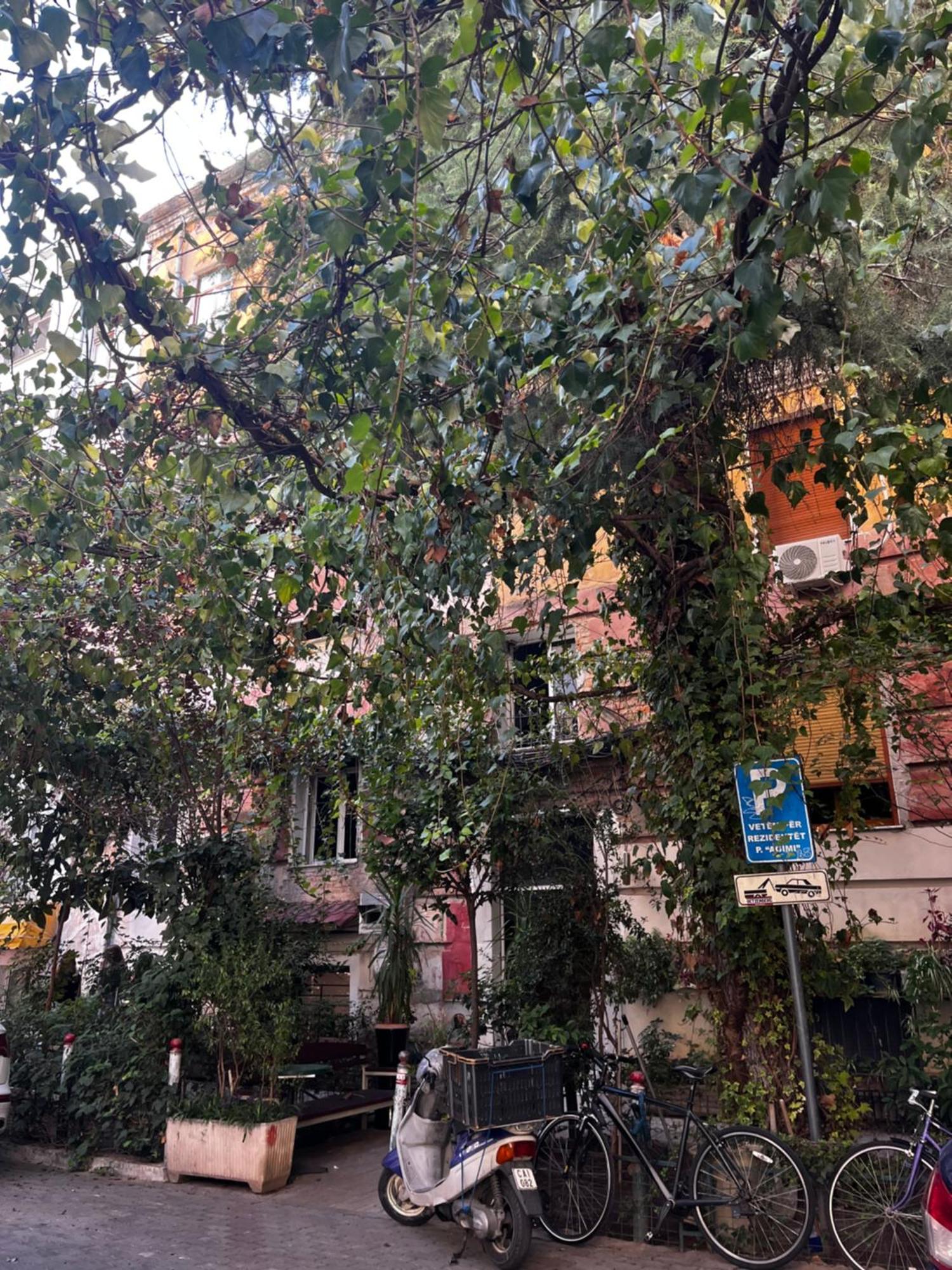 Zaira Retreat - * Tirana